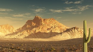 Sonoran-Desert-Image
