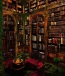 lost_library_by_pankreas67-d4e9qhf